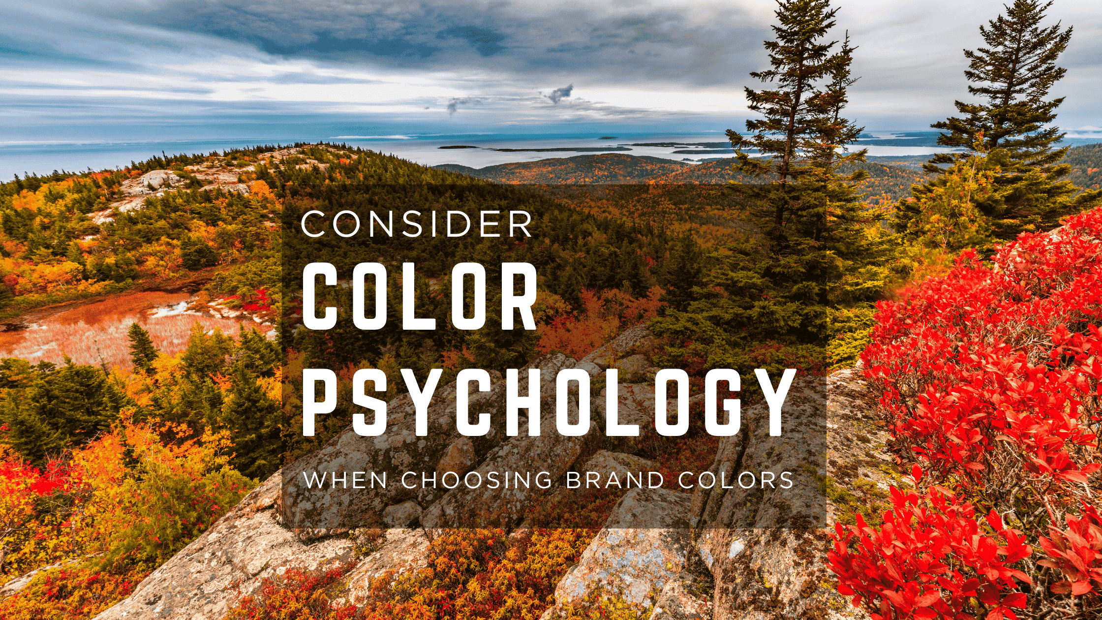 color psychology